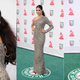 Illustration for article titled Big Smiles, Big Boobs and Shitloads of Sequins at the Latin Grammys